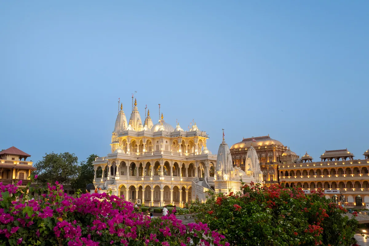 The white mandir lit at dusk behind bougainvillea